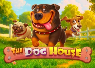 god855 The Dog House ทดลองเล่นฟรี